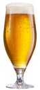 Glass of pale lager beer with water drops on cold glass surface isolated on white background. File contains clipping path Royalty Free Stock Photo