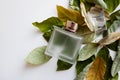 Glass perfume bottle with dry green and yellow leaves Royalty Free Stock Photo