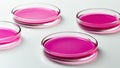 Glass Petri dishes for chemical experiments
