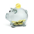 Glass piggy bank with golden coins Royalty Free Stock Photo