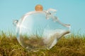 Glass piggy bank in grass Royalty Free Stock Photo