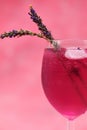 A glass of pink cocktail on a gradient magenta background Royalty Free Stock Photo