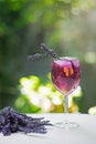 Glass of pink cocktail with ice and lavender on table in greenery background Royalty Free Stock Photo