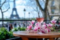 Glass of pink wine on a table of typical Parisian outdoor cafe with pink magnolia flowers in full bloom on a backdrop of French