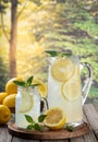 Glass and pitcher of lemonade with summer background Royalty Free Stock Photo