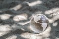 Glass planet on the sand. Climate change concept, environmental protection. Earth Day Royalty Free Stock Photo