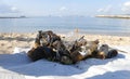 Plastic and garbage removed from the sea during environmental cleaning beach day in Mallorca Royalty Free Stock Photo