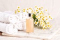 Glass and plastic bottles of essence or serum and with chamomile flowers Royalty Free Stock Photo