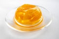 Glass plate of tangerine jelly with fresh slices on a white background