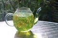 Glass pot with homemade lime blossom tea