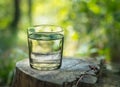Glass of pure fresh water on the old tree stump. Green nature background