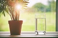 Glass of pure natural water and green flower in pot on natural m