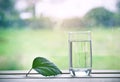 Glass of pure natural water and green leaf