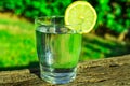 Glass of pure water with lemon wedge circle on wood log, green grass plants in the background, outdoors, bright sunlight