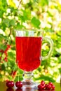 A glass of red cherry juice and cherries and red currants on a natural background Royalty Free Stock Photo