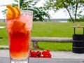 Glass of red coctail with ice, lemon, orange