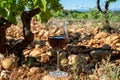 Glass of red dry wine and large pebbles galets and sandstone clay soils on vineyards in ChÃÂ¢teauneuf-du-Pape ancient wine making