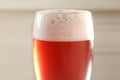 Glass of red tasty beer with foam Royalty Free Stock Photo