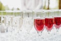 Glass of red and white wine on a table. Many glass wine in a row on white tablecloth. Royalty Free Stock Photo