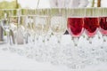 Glass of red and white wine on a table. Many glass wine in a row on white tablecloth. Royalty Free Stock Photo