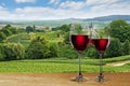 Glass of red wine against vineyard Royalty Free Stock Photo