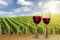 Glass of red wine against vineyard Royalty Free Stock Photo