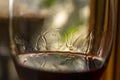 A glass of red wine on a beautiful background. A glass of wine. Free space for text in the background. Royalty Free Stock Photo