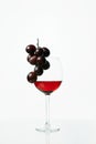 Glass with red wine beautiful still life. Wineglass and grape