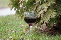 Glass of red wine and bottle Royalty Free Stock Photo