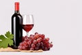 Glass of red wine, bottle and grapes on white background with copy space Royalty Free Stock Photo