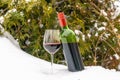 A glass of red wine and  bottle of wine in snow Royalty Free Stock Photo