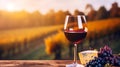 A glass of red wine with a bunch of grapes and cheese on a wooden table against the backdrop of a vineyard, copy space Royalty Free Stock Photo