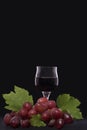 Glass with red wine and a bunch of grapes. Royalty Free Stock Photo