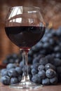 A glass of fragrant red wine and bunches of blue grapes Royalty Free Stock Photo