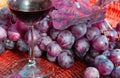 Glass of red wine with bunches of ripe grapes Royalty Free Stock Photo