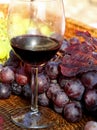 Glass of red wine with bunches of ripe grapes into the winery Royalty Free Stock Photo