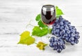 Glass red wine with cluster grapes Royalty Free Stock Photo