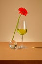 A glass of red wine containing yellow liquid, a red gerbera flower and a glass globe are displayed on a brown table. Beauty comes Royalty Free Stock Photo