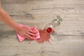 Glass of red wine fell on laminate, wine spilled on floor. A woman wipes the laminate from moisture Royalty Free Stock Photo