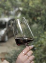 A glass of red wine in a female hand on greenery background Royalty Free Stock Photo