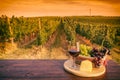 Glass of red wine in front of a vineyard at sunset Royalty Free Stock Photo