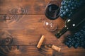 Glass of red wine and grape Royalty Free Stock Photo