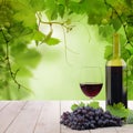 Glass of red wine, grape and wine bottle on white wooden background with green grapevine Royalty Free Stock Photo