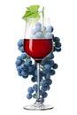 Glass of red wine and grape isolated on white Royalty Free Stock Photo