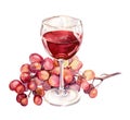 Glass with red wine, grape. Watercolor painting Royalty Free Stock Photo