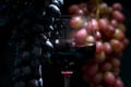 Glass of red wine with grapes Royalty Free Stock Photo