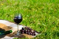 Glass of red wine in the open air, next to a branch of grapes