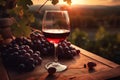 A glass of red wine and purple grapes on a wooden table with a view of the vineyard at sunset. Royalty Free Stock Photo