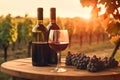 Glass of red wine ripe grapes and bottle on table in vineyard. Generative AI Royalty Free Stock Photo