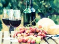 Glass of red wine ripe grapes and bread in vineyard Royalty Free Stock Photo